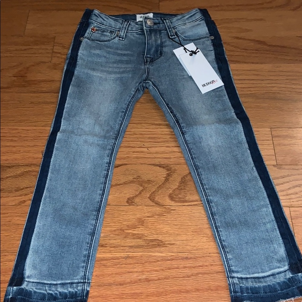 NWT Hudson Skinny Jeans
